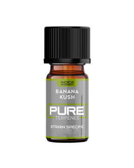 UK Flavour Pure Terpenes Indica – 5ml